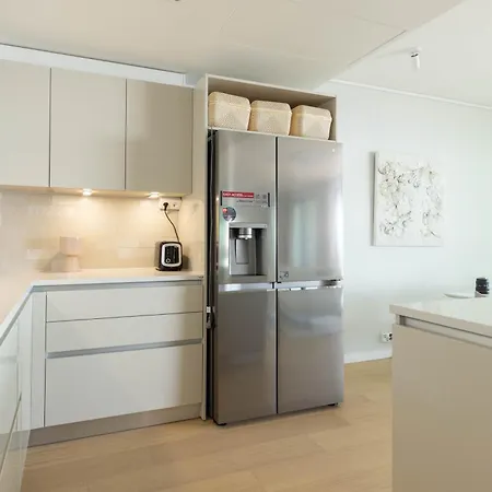 C09 & C20 Premium Duplex I And Ii Floor Apartment