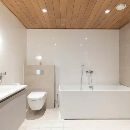 Apartment C09 & C20 Premium Duplex I And Ii Floor
